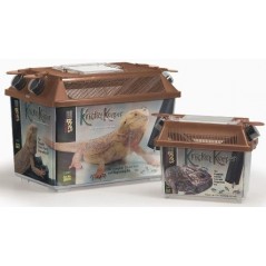 Ciboulette - Cat. B - Protecta - 3,65 € -  - 5425005399372 - Ornibird SRL