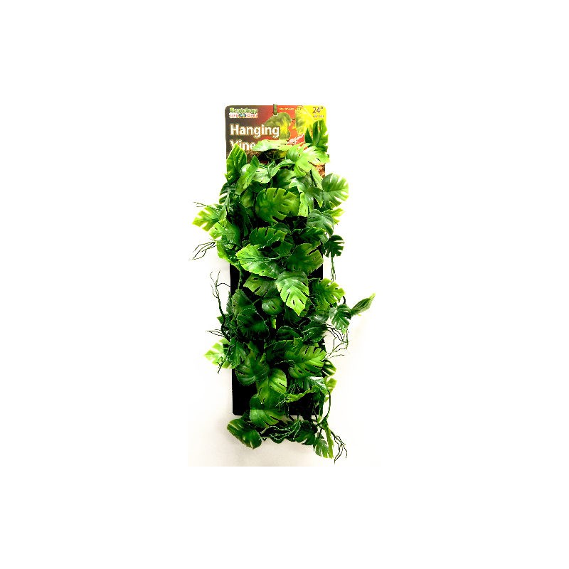 Rep 423 Reptile Vine Vert 61cm