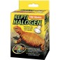 Repti Lampe chauffante halogène 100w