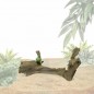 Teck Carotte S/20-30 cm - Back Zoo Nature