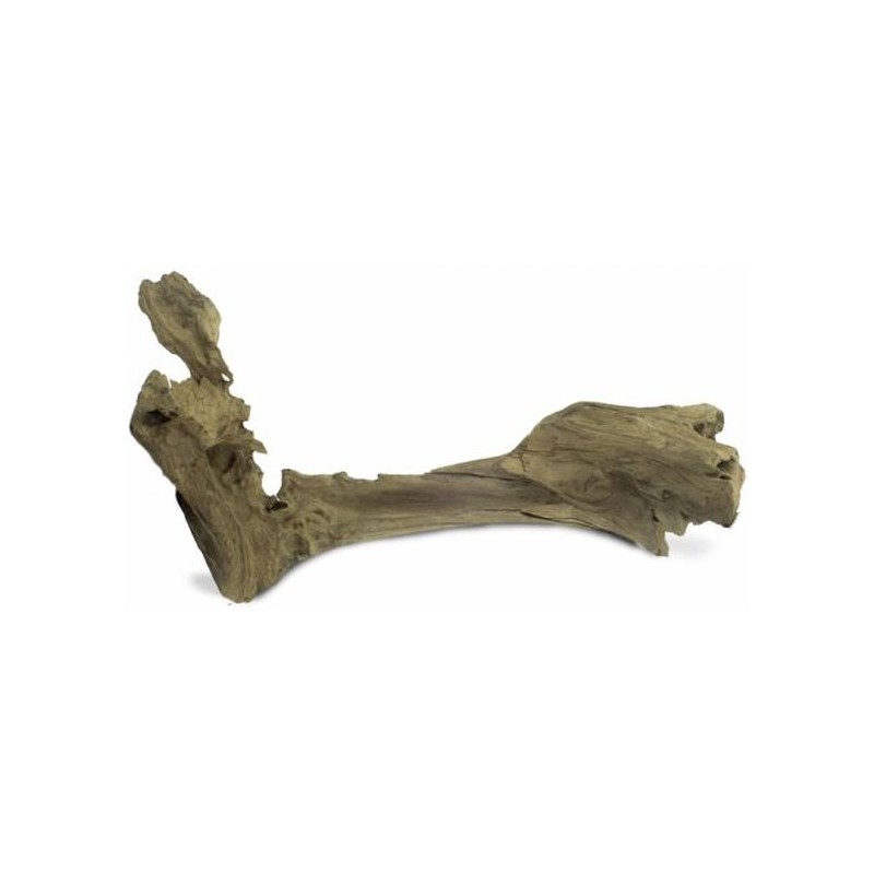 Teck Carotte S/20-30 cm - Back Zoo Nature
