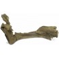 Teck Carotte S/20-30 cm - Back Zoo Nature