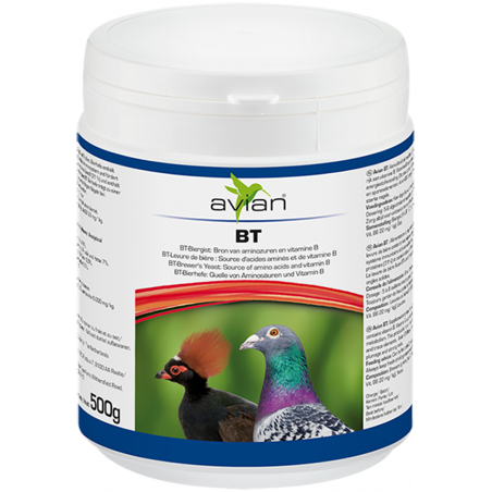 Ornibird SRL - Soins