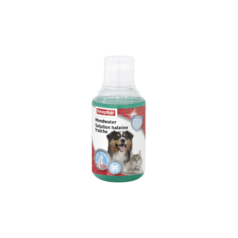 Solution Haleine Fraîche 250ml - Beaphar 16008 Beaphar 9,35 € Ornibird Solution Haleine Fraîche 250ml - Beaphar 16008 Beaphar 9,35 € Ornibird