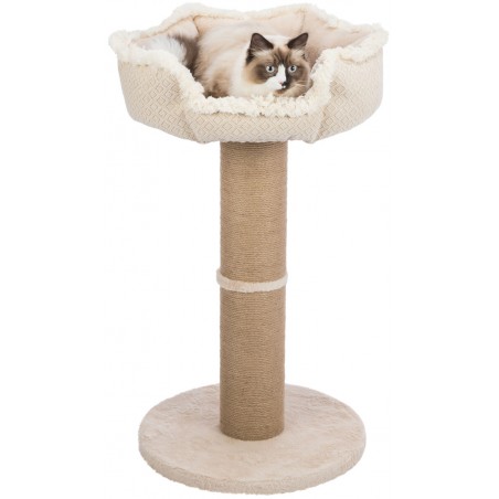 Ornibird SRL - Arbre à chat & griffoir