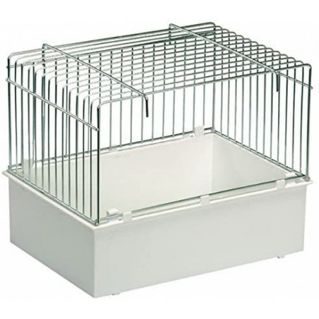 2G-R - Ornibird SRL