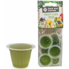 Coupe de fruit melon 6 pièces - Back Zoo Nature à 3,00 € - Back Zoo Nature - ZF9277 - Snacks
