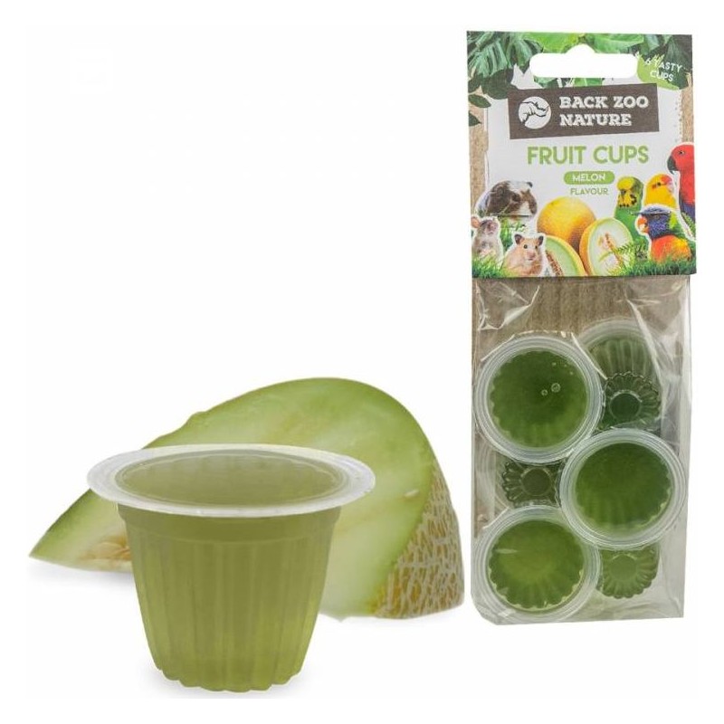 Coupe de fruit melon 6 pièces - Back Zoo Nature