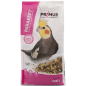 Grandes Perruches 1kg - Primus