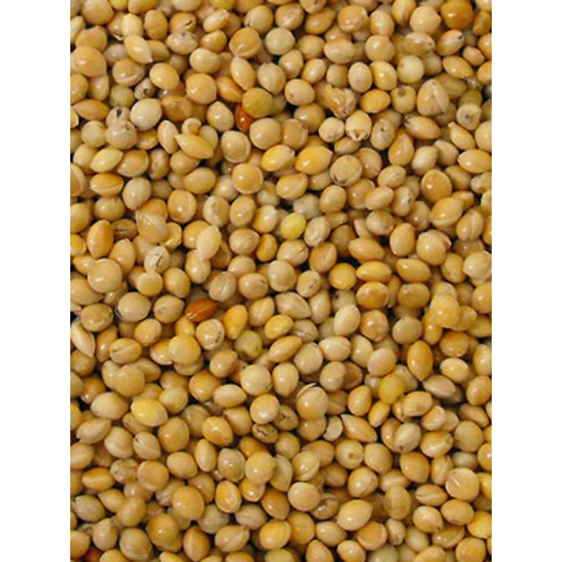 Millet rond jaune 5kg 103065051 Grizo 8,95 € Ornibird Millet rond jaune 5kg 103065051 Grizo 8,95 € Ornibird