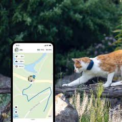 Tractive GPS cat tracker - collier GPS chat - à attacher sur votre
