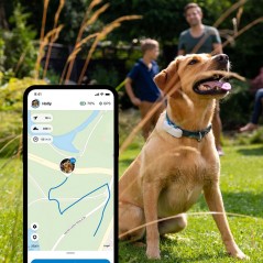 Collier GPS pour chiens Tractive GPS DOG 4 Blanc neige - 50,40 € - Tractive - 3000000167403 - Ornibird SRL
