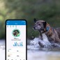Collier GPS pour chiens Tractive GPS DOG 4 Bleu nuit Collier GPS pour chiens Tractive GPS DOG 4 Bleu nuit