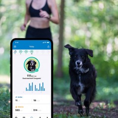 Collier pour chien Tractive GPS DOG 4 - collier GPS pour chien