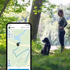 Collier GPS pour chiens Tractive GPS DOG 4 Café - 50,40 € - Tractive - 3000000167427 - Ornibird SRL