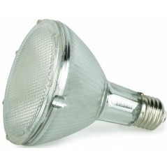Bird Sun UV-Lamp System 70W - Back Zoo Nature à 49,95 € - Back Zoo Nature - ZF7762 - Chauffage