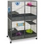 Suite Royal XL gris 115,5x67,5x155,5cm - Savic