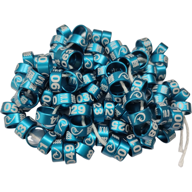 10 bagues fermees bleues 2 7 mm gravure au laser avec annee 2023