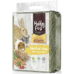 Herbal Hay avec des légumes 1kg - Hobby First 663873 Hobby First 4,05 € Ornibird