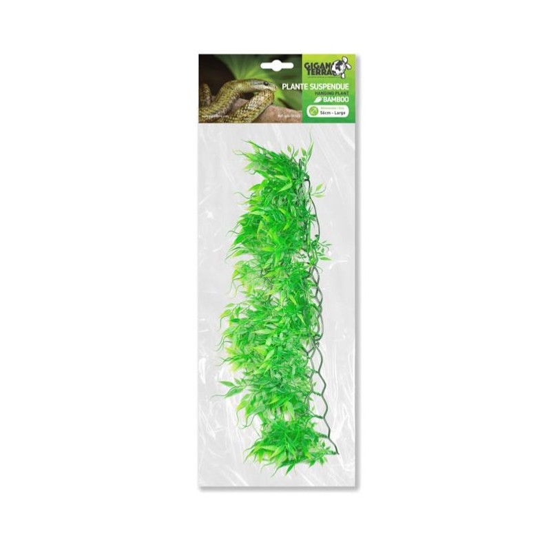 Plantes suspendues Bamboo 56cm - Giganterra Plantes suspendues Bamboo 56cm - Giganterra