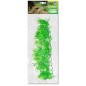 Plantes suspendues Bamboo 56cm - Giganterra Plantes suspendues Bamboo 56cm - Giganterra