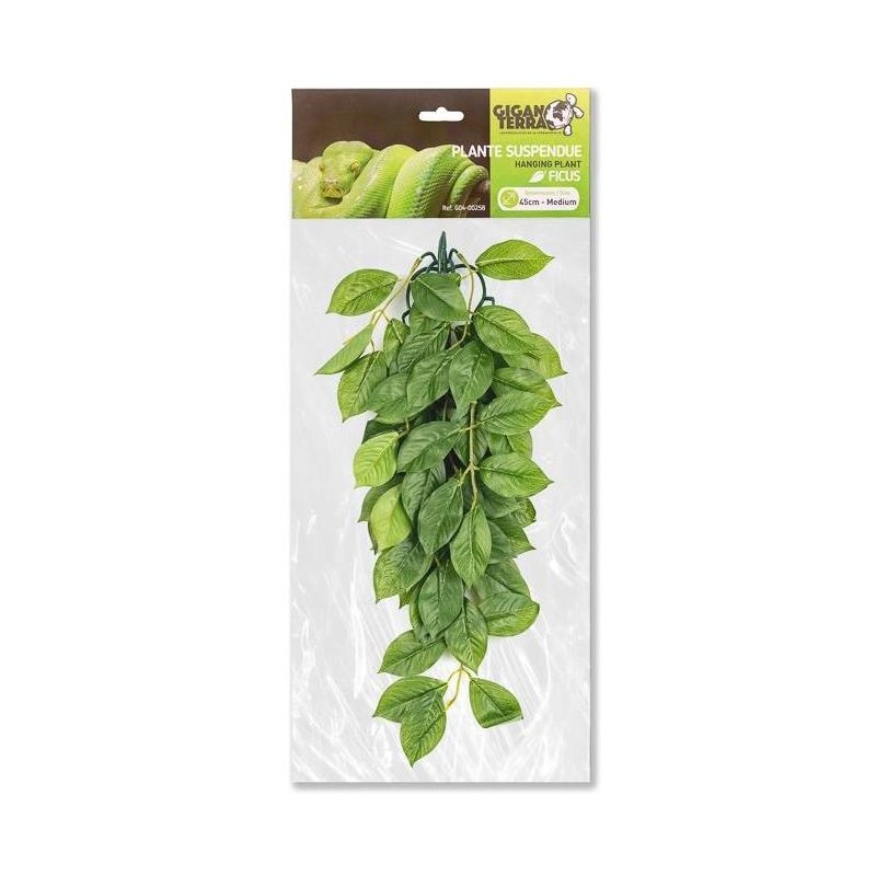 Plantes suspendues N°3 45cm - Giganterra Plantes suspendues N°3 45cm - Giganterra