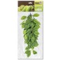 Plantes suspendues N°3 45cm - Giganterra Plantes suspendues N°3 45cm - Giganterra