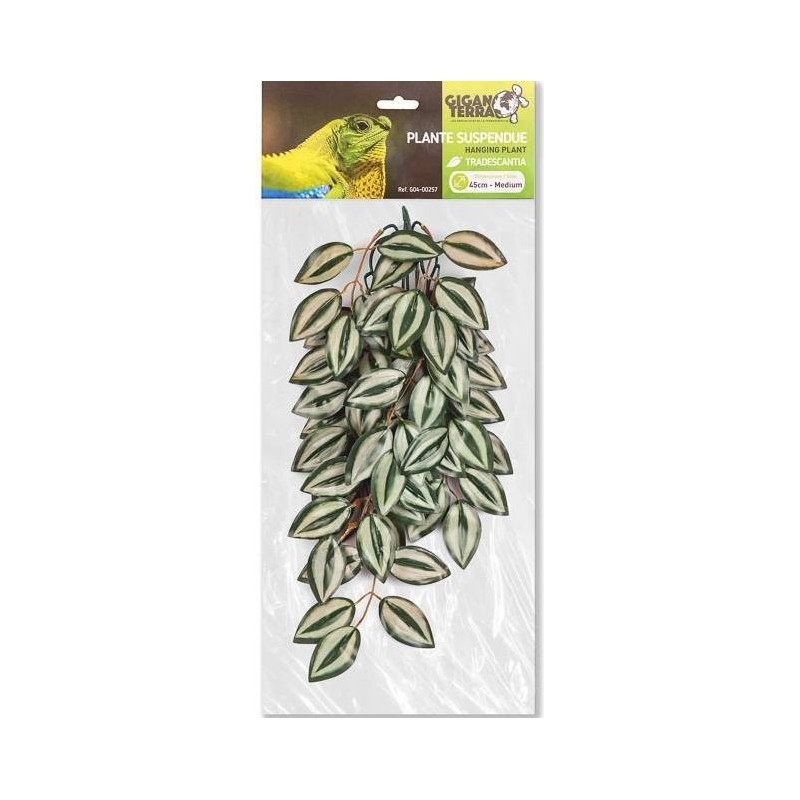 Plantes suspendues N°2 45cm - Giganterra