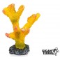 Coraux 2 - 13x12x18cm - Giganterra Coraux 2 - 13x12x18cm - Giganterra