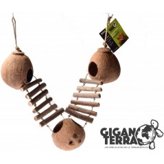 Triple Maison Noix de coco échelle - Giganterra à 19,95 € - Giganterra - G02-00025 - Giganterra