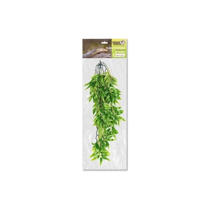 Plantes suspendues N°4 70cm - Giganterra Plantes suspendues N°4 70cm - Giganterra