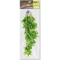 Plantes suspendues N°4 70cm - Giganterra Plantes suspendues N°4 70cm - Giganterra
