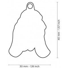 Médaille Chien Basset Hound 2 - 18,90 € - My Family - 3000000171080 - Ornibird SRL