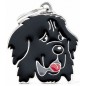 Médaille Chien Terre-Neuve Médaille Chien Terre-Neuve