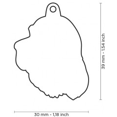 Médaille Chien Setter Irlandais - 18,90 € - My Family - 3000000171653 - Ornibird SRL