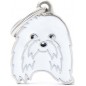 Médaille Chien Bichon Maltais