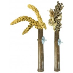 Bambou Grass Keeper +/-20cm - Back Zoo Nature - 3,95 € - Back Zoo Nature - 8784251814792 - Ornibird SRL