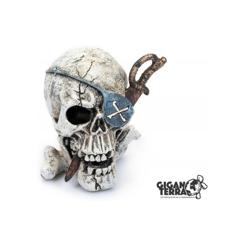 Crâne Pirate 2 10x10,5x11cm - Giganterra G04-00603 Giganterra 13,05 € Ornibird