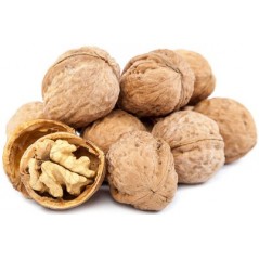 Noix au kg - Ornibird à 7,00 € - Private Label - Ornibird - 70001/kg - Graines Ornibird au kg