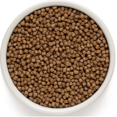 Kitten - Agneau et Dinde 400gr - Grandorf - 6,75 € - Grandorf - 5407007851195 - Ornibird SRL