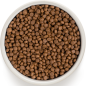 Chat Indoor - 4 Viandes 400gr - Grandorf Chat Indoor - 4 Viandes 400gr - Grandorf