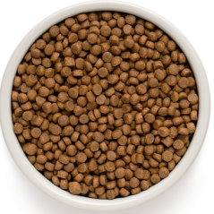 Puppy - Agneau et Dinde 3kg - Grandorf - 29,45 € - Grandorf - 5407007850860 - Ornibird SRL