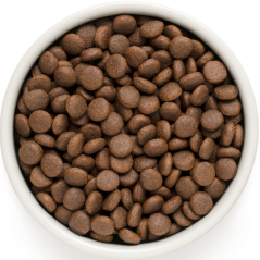 Chien Junior - Agneau et Dinde 3kg - Grandorf - 29,45 € - Grandorf - 5407007850891 - Ornibird SRL