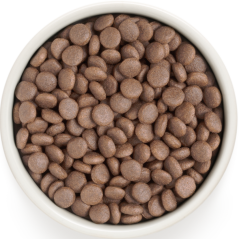 Chien Adult Medium & Maxi Races - Poisson Blanc 1kg - Grandorf - 13,20 € - Grandorf - 5407007851003 - Ornibird SRL