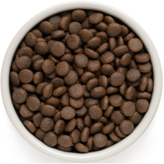Chien Adult Medium & Maxi Races - Lapin et Dinde 1kg - Grandorf - 13,45 € - Grandorf - 5407007851065 - Ornibird SRL