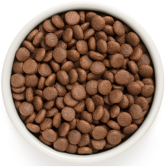 Chien Adult Medium & Maxi Races - Canard et Dinde 3kg - Grandorf - 33,45 € - Grandorf - 5407007851041 - Ornibird SRL
