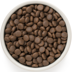 Chien Adult Medium & Maxi Races - 4 Viandes 10kg - Grandorf - 79,95 € - Grandorf - 5407007851133 - Ornibird SRL