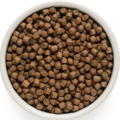 Chien Adult Mini Races - Agneau et Dinde 1kg - Grandorf - 12,20 € - Grandorf - 5407007850914 - Ornibird SRL