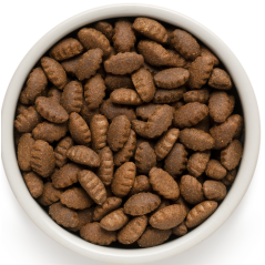 Chien Adult Maxi Races - Agneau et Dinde 10kg - Grandorf - 73,95 € - Grandorf - 5407007850990 - Ornibird SRL