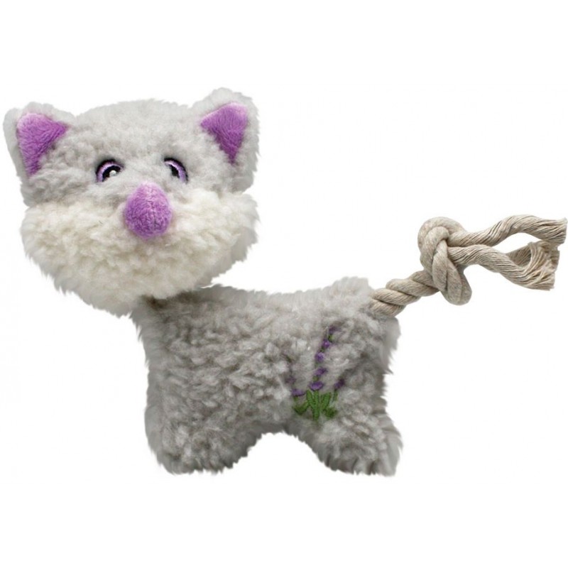Bébés Lavande - Chaton